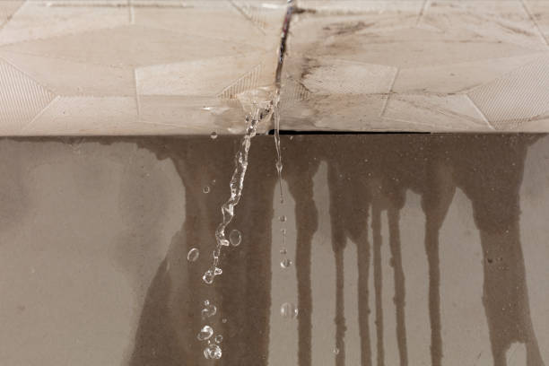 Professional Sewage Cleanup technician working in Collinsville, IL